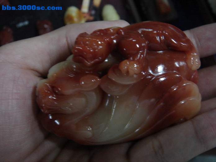 DSC07753_调整大小.JPG