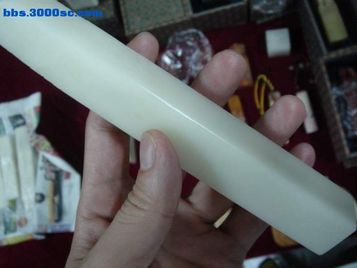 DSC07754_调整大小.JPG
