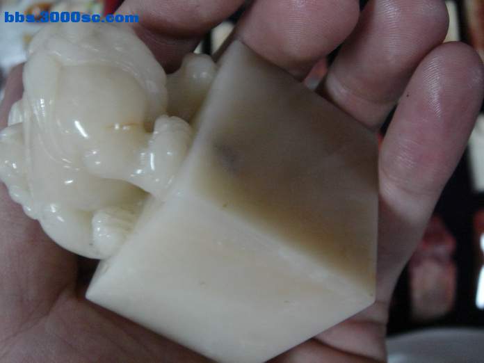 DSC07761_调整大小.JPG
