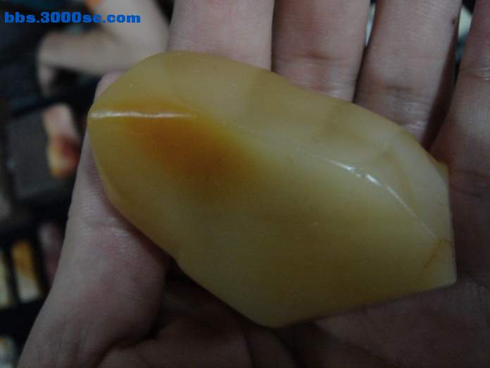 DSC07765_调整大小.JPG