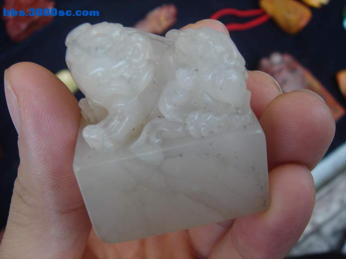 DSC07855_调整大小.JPG