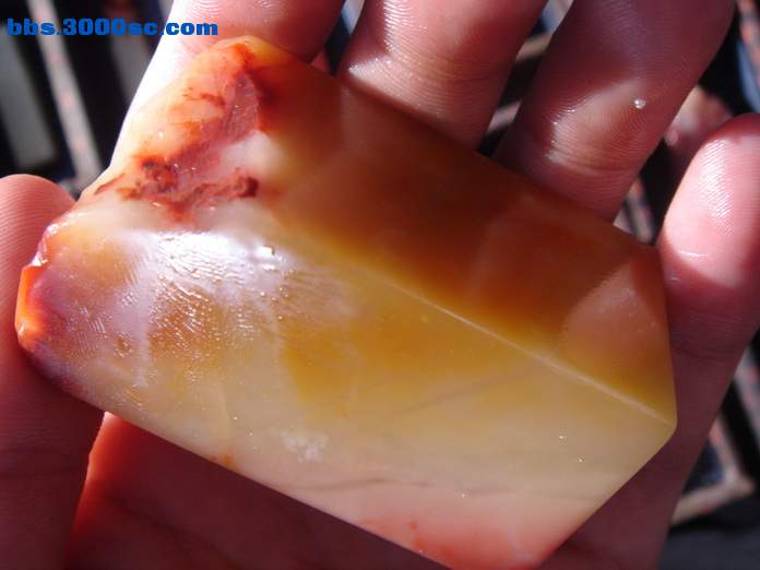 DSC07875_调整大小.JPG