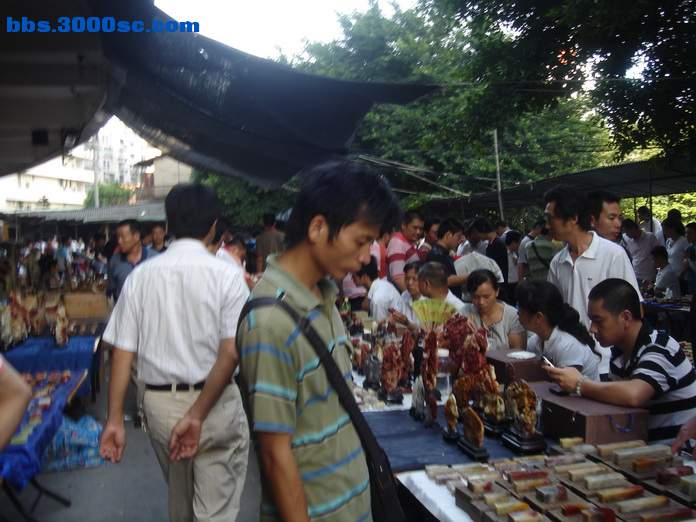 DSC07882_调整大小.JPG