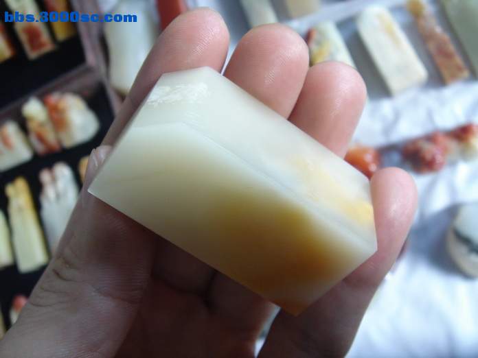 DSC07927_调整大小.JPG