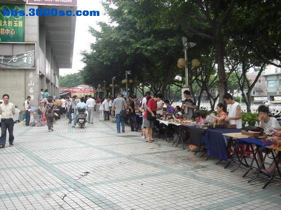 DSC08078_调整大小.JPG
