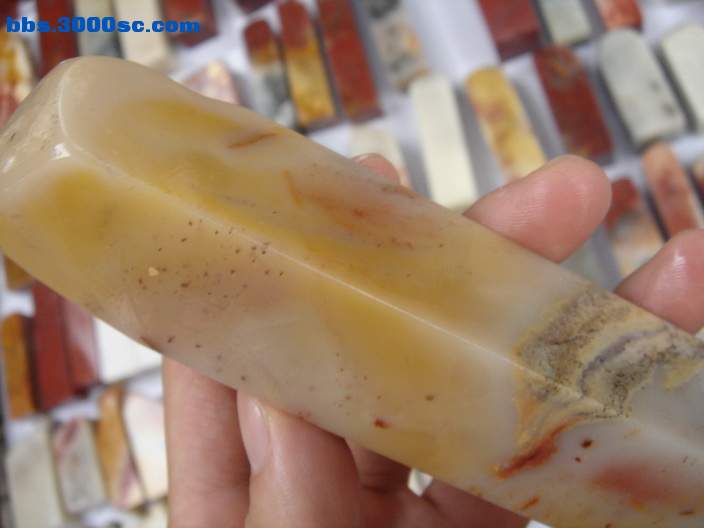 DSC08080_调整大小.JPG