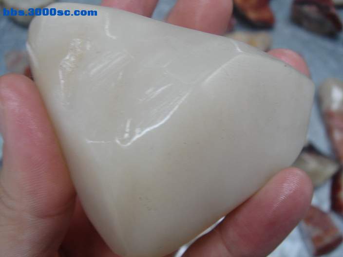 DSC08085_调整大小.JPG