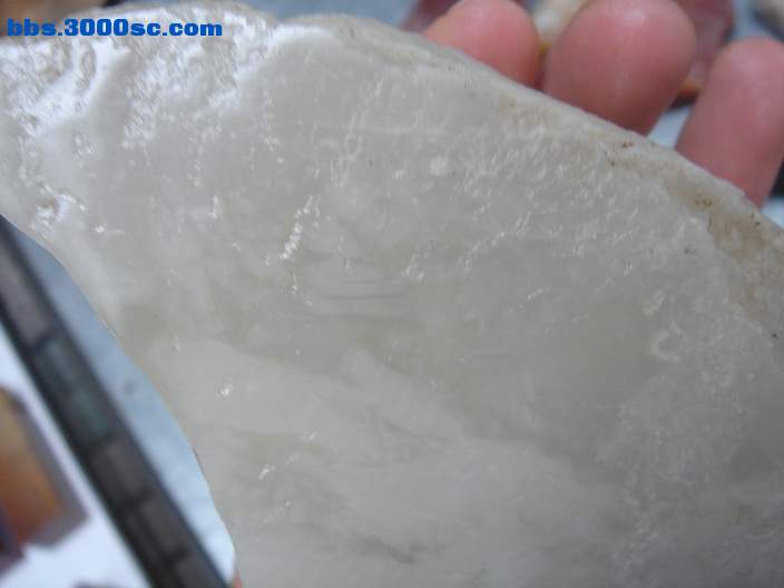 DSC08088_调整大小.JPG