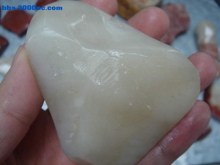 DSC08086_调整大小.JPG