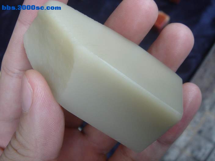 DSC08089_调整大小.JPG