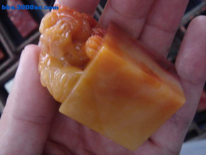 DSC08107_调整大小.JPG