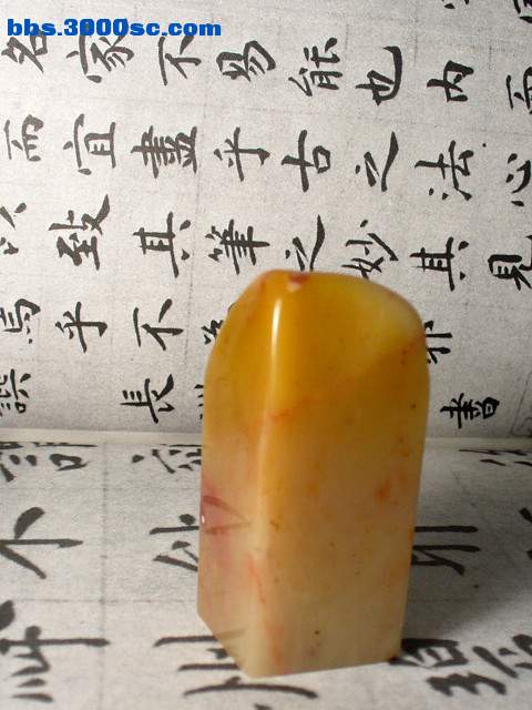 P1250332.JPG