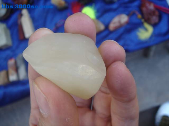 DSC08161.JPG