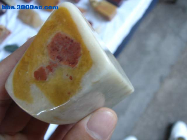 DSC08162.JPG