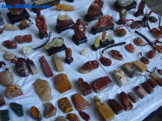 DSC08164.JPG