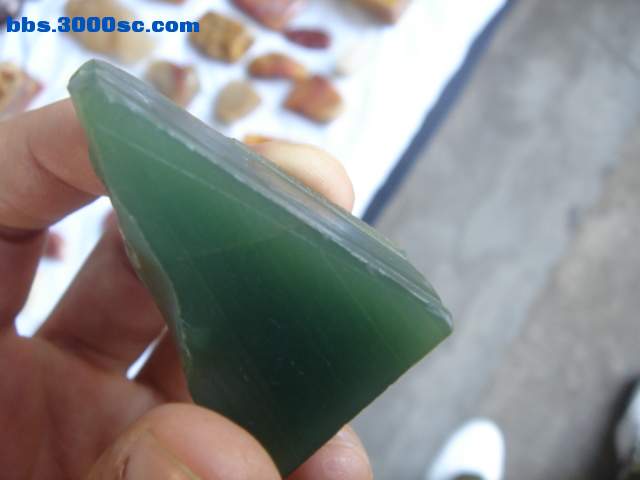 DSC08163.JPG