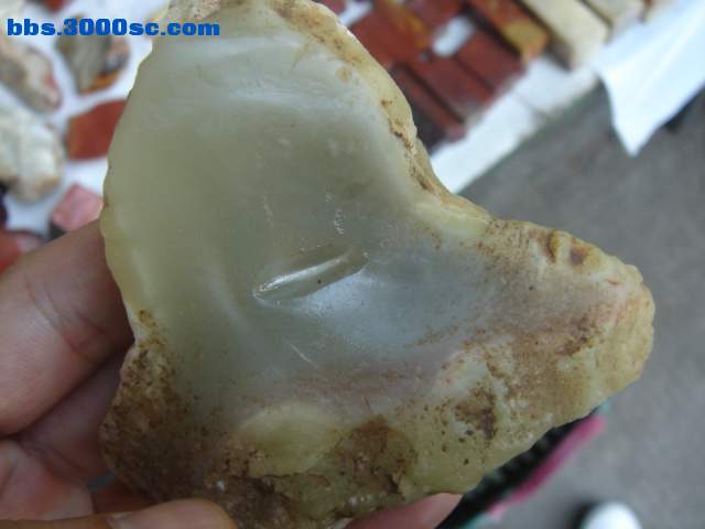 DSC08165.JPG