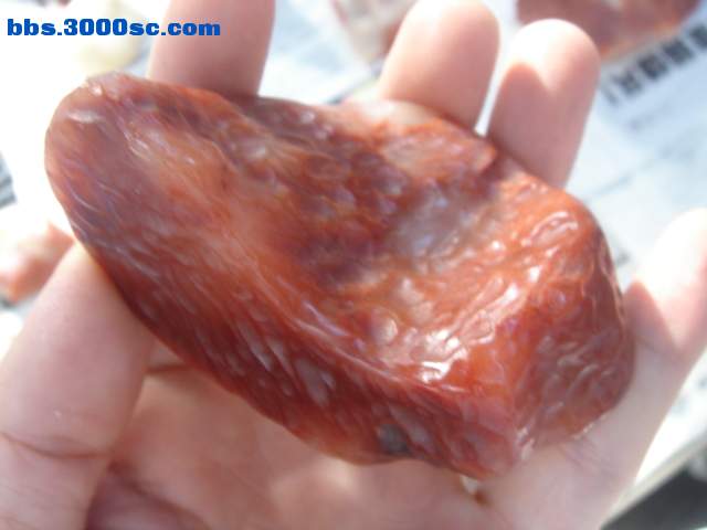 DSC08256.JPG