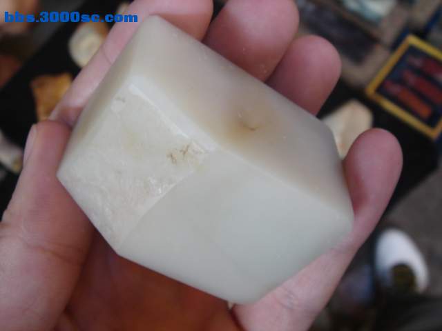 DSC08205.JPG