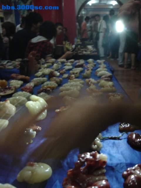 DSC08237.jpg