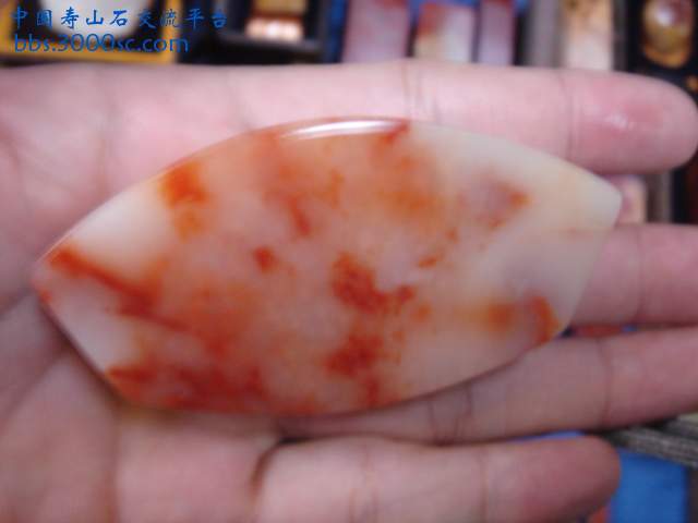 DSC08371.JPG