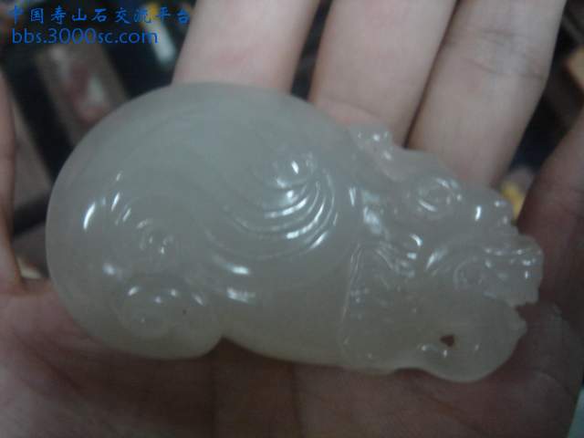 DSC08386.JPG
