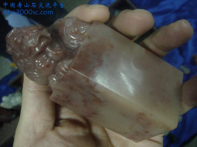 DSC08388.JPG