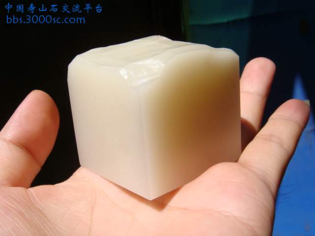 DSC02651.JPG