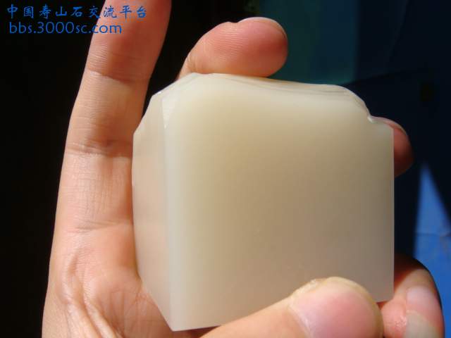 DSC02654.JPG