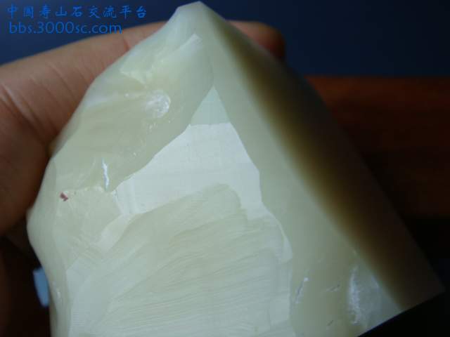 DSC02664.JPG