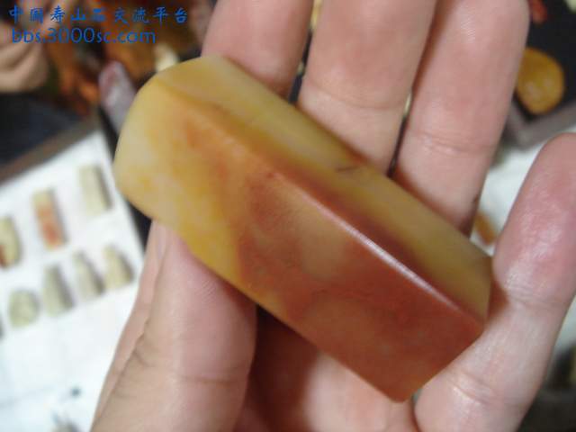 DSC08472.JPG