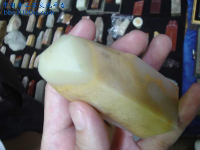 DSC08478.JPG