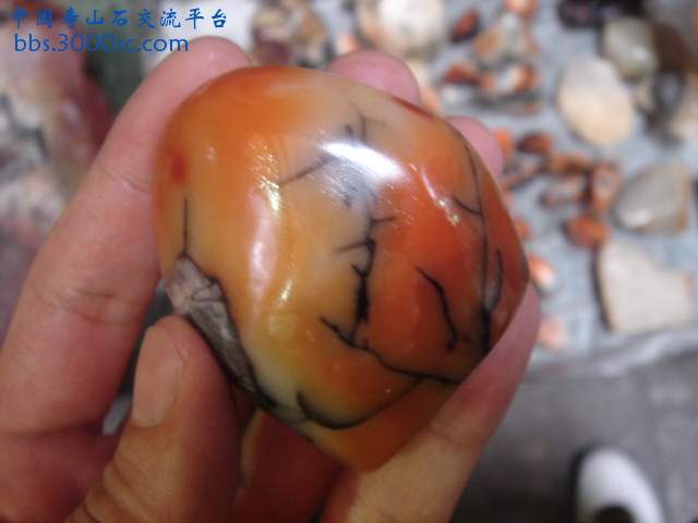 DSC08489.JPG