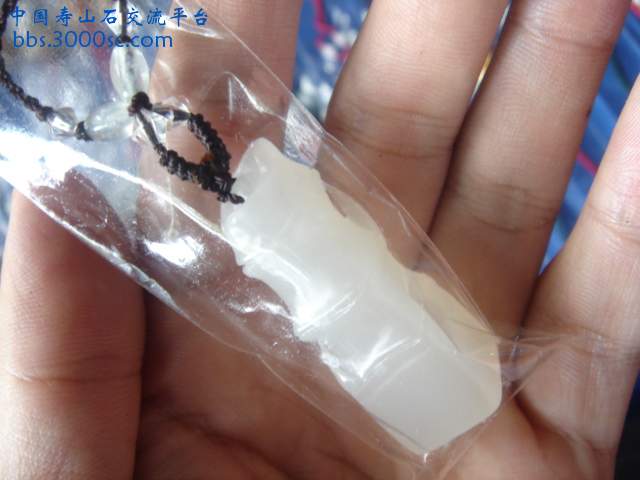 DSC08590.JPG