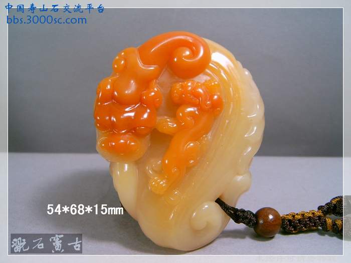SUC36780.jpg