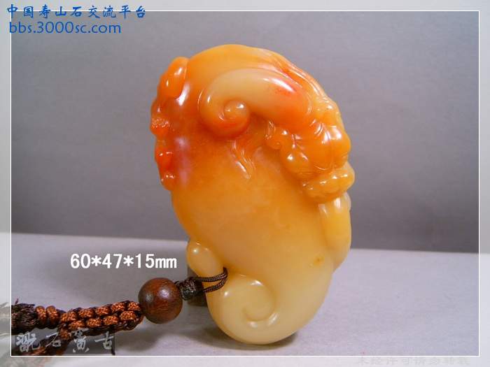 SUC36786.jpg