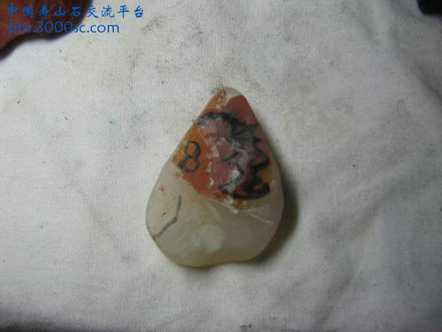 鸡母窝2.JPG