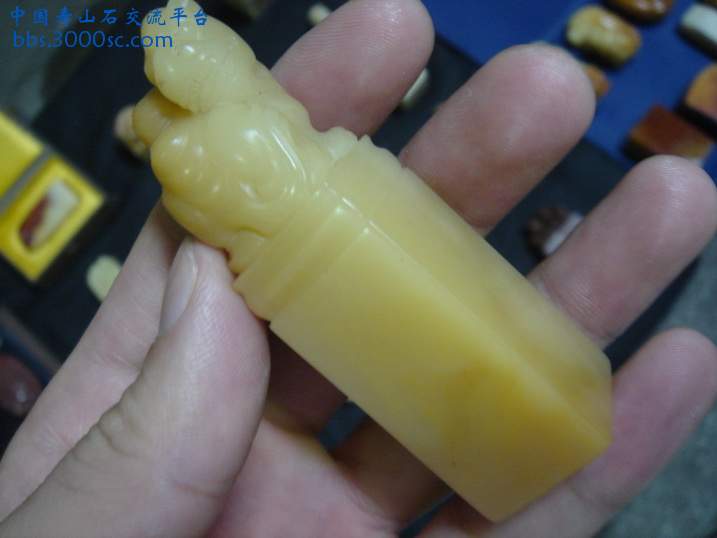DSC08671_调整大小.JPG