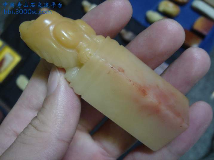 DSC08672_调整大小.JPG