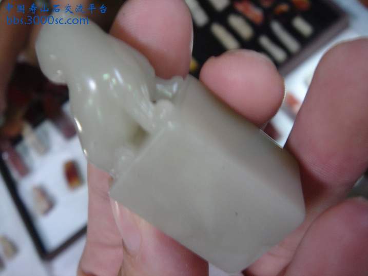 DSC08676_调整大小.JPG
