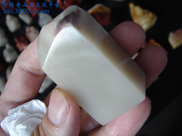 DSC08773.JPG