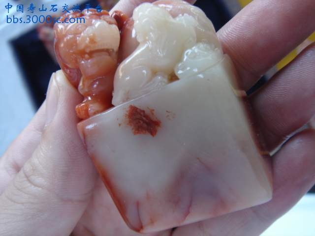 DSC08775.JPG
