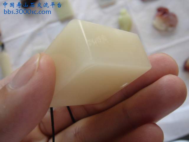 DSC08778.JPG