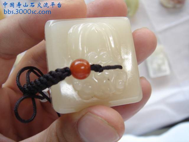 DSC08779.JPG