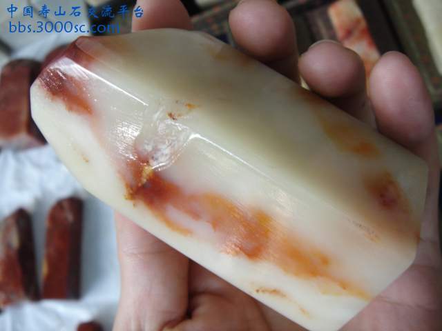DSC08783.JPG