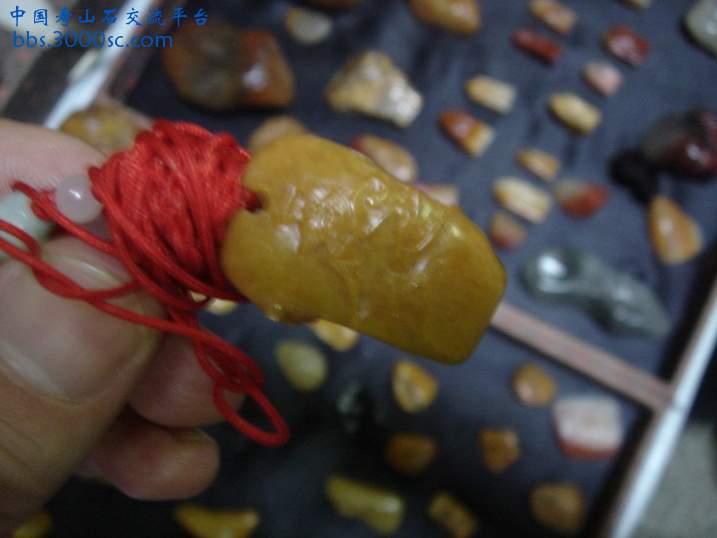 DSC08697_调整大小.JPG