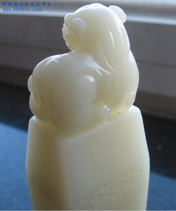 白芙蓉3.JPG