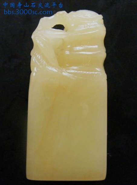 DSCF1419.JPG
