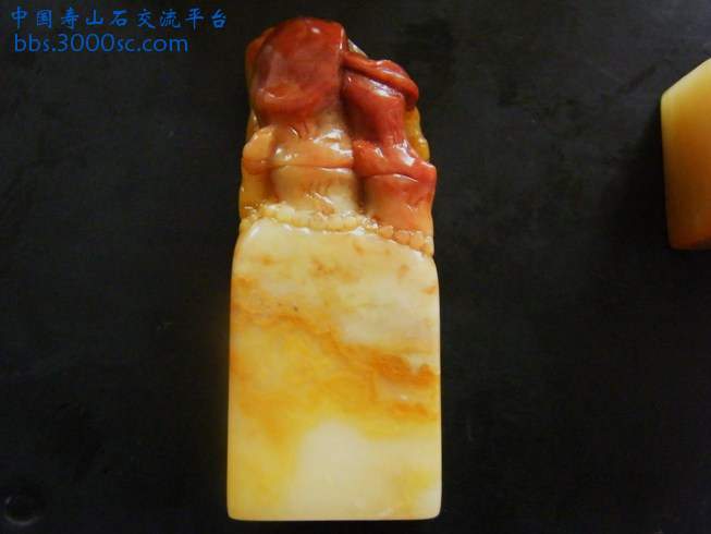DSCF1407.JPG