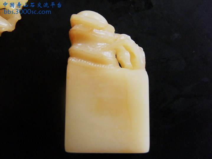 DSCF1421.JPG